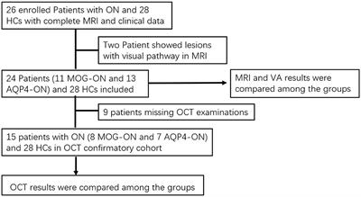 Structural and Functional Alterations in Visual Pathway After Optic Neuritis in MOG Antibody Disease: A Comparative Study With AQP4 Seropositive NMOSD